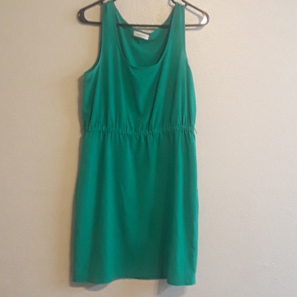 Calvin Klein dress with empire waist